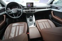 Hexon import image 11