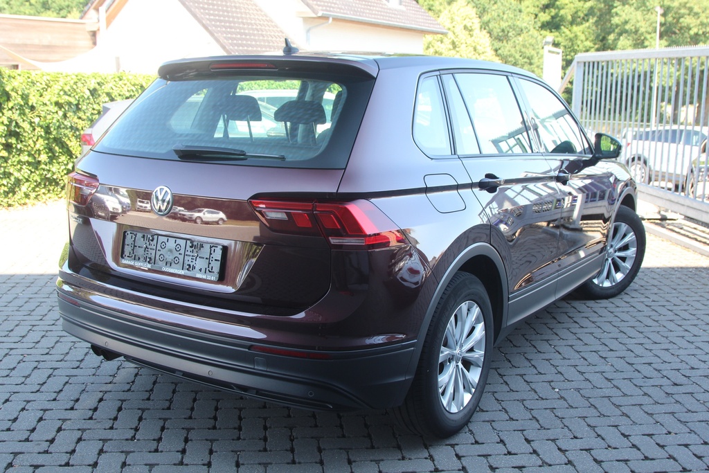 Hexon import image 2