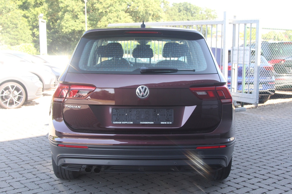 Hexon import image 5