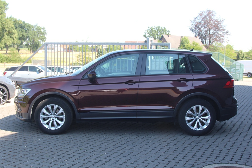 Hexon import image 9